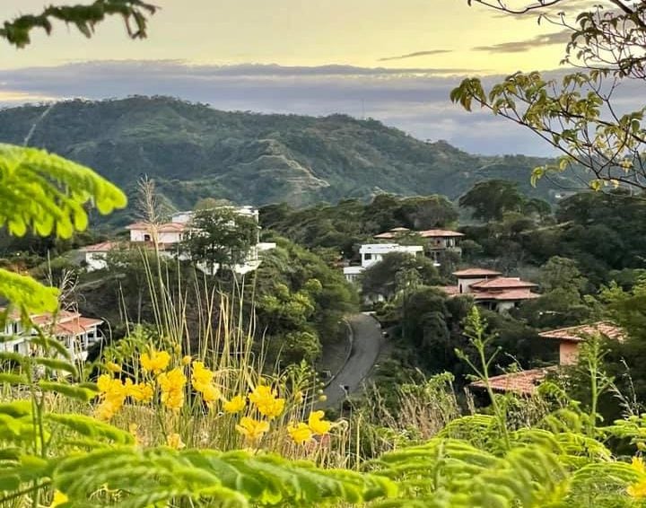 View through yellow flowers and ferns of town buildings and roads below with mountains in the background in Costa Rica