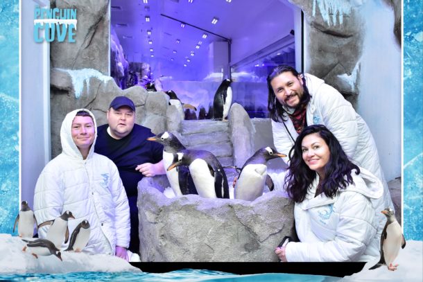 Custom photo from our amazing encounter with the Gentoo penguins in the Dubai Aquarium and Underwater Zoo