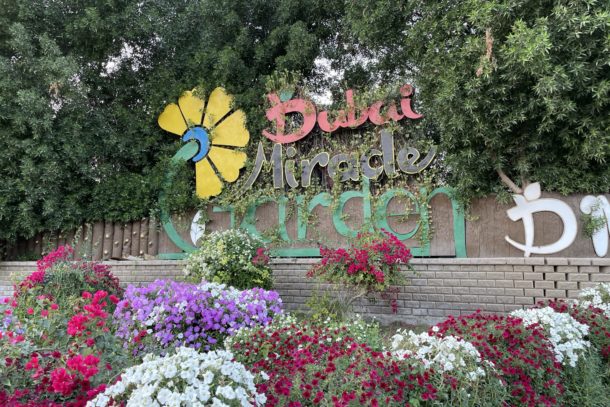 Beautiful, colorful flowers surrounding the Miracle Garden sign in Dubai