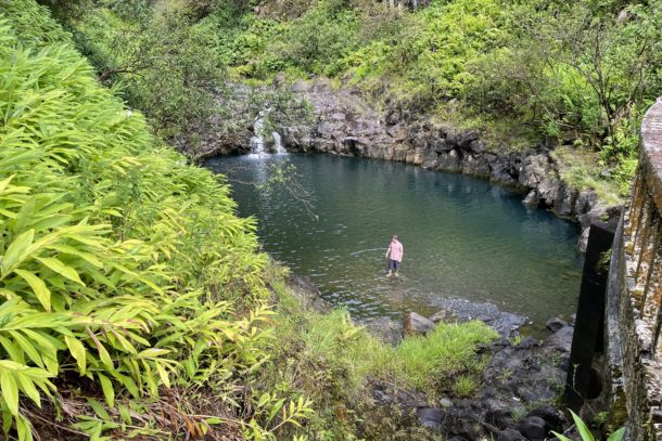 Beautiful view of the water and greenery in Hawaii