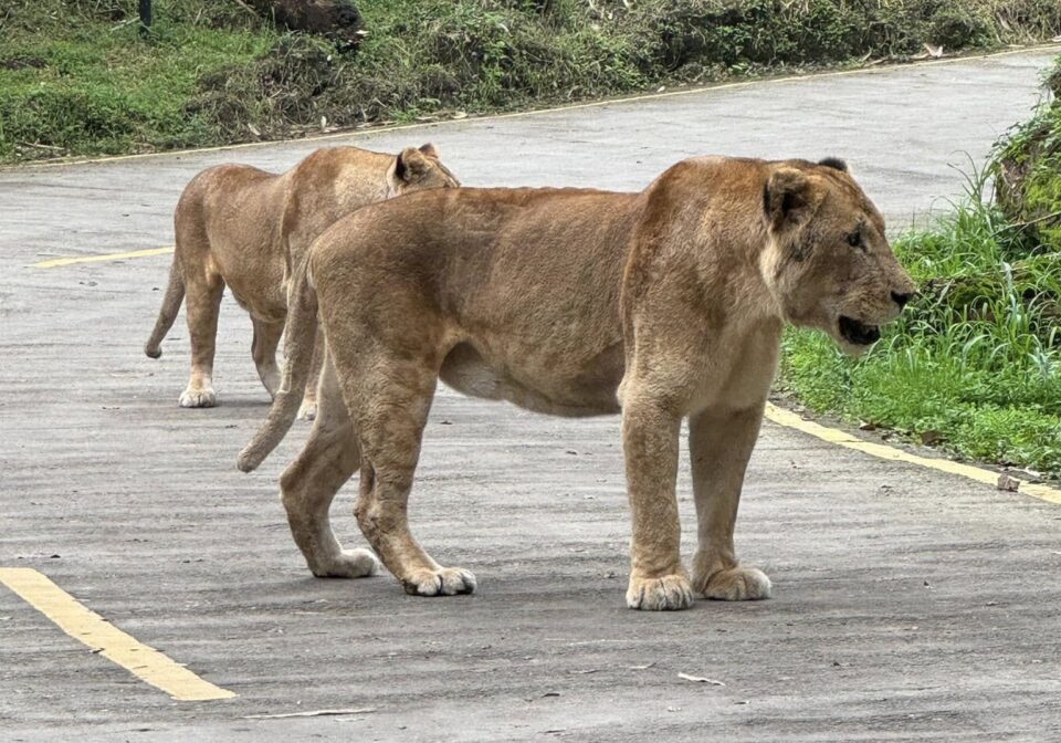 477117262_1012070634308939_7700160456982515820_n