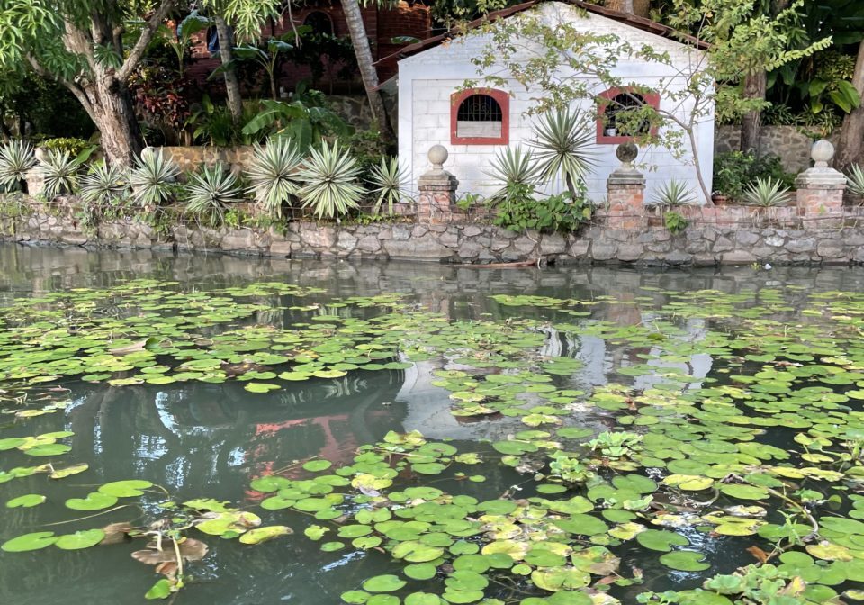 Small white home and trees at rivers edge covered by lily pads in Granada, Nicaragua