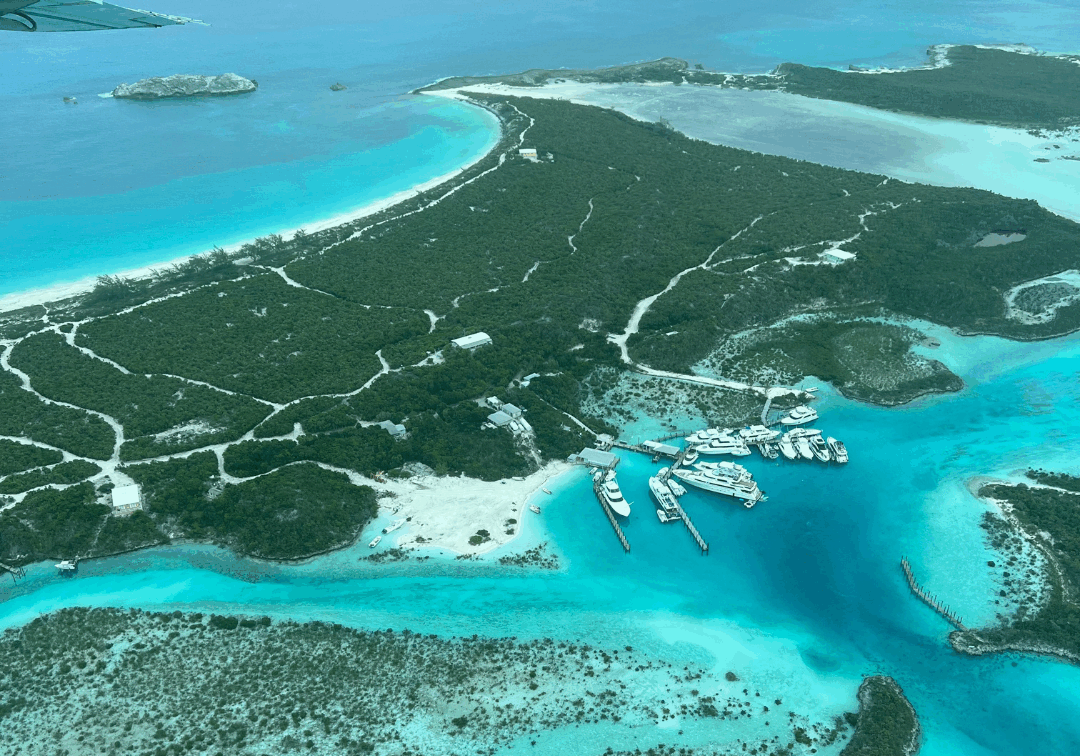 Untitled design (16)