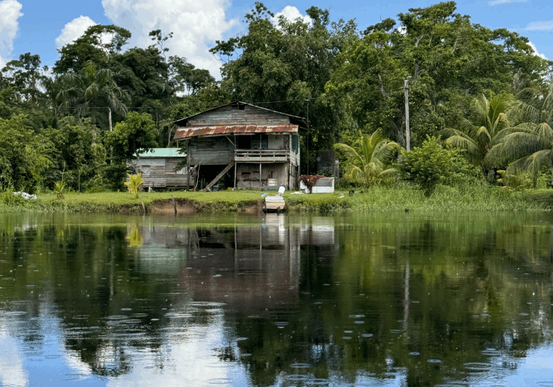 Untitled design (23)